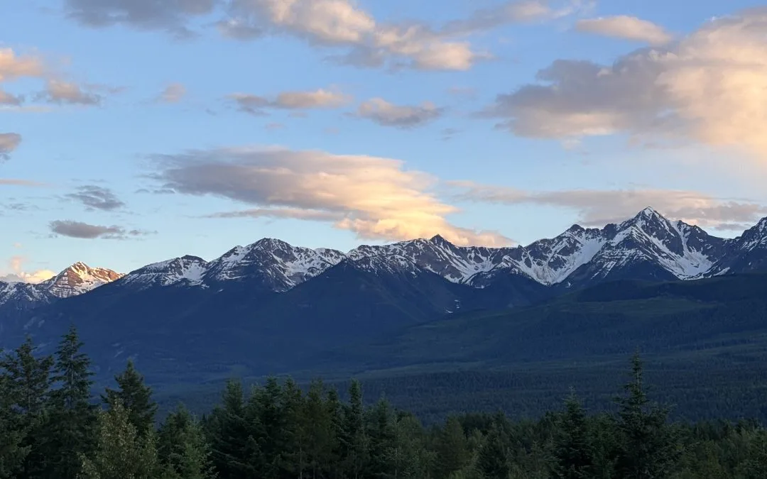 Snow-capped Rocky Mountains at sunset above a pine forest.
